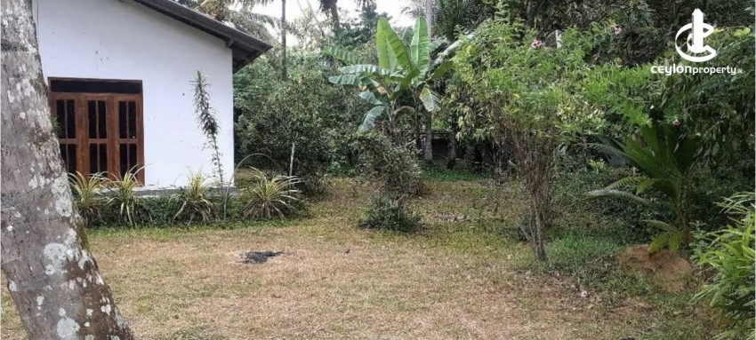 Land for Sale in Kurunegala - Land for sale in hanhamuna - photo 4