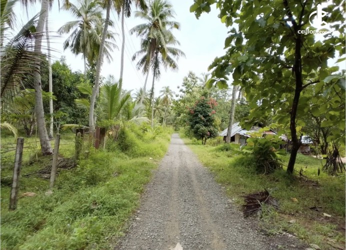 Land for Sale in Wariyapola - Land for sale in mahakeliya - photo 2