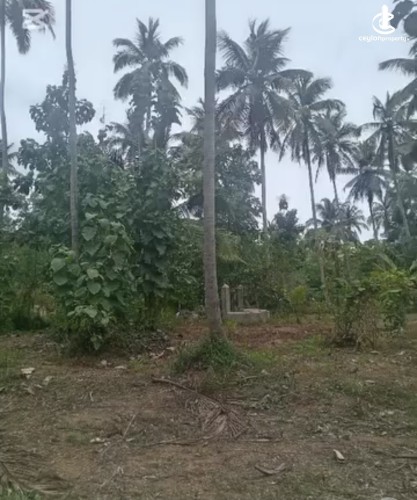Land for Sale in Wariyapola - Land for sale in wariyapola - photo 1