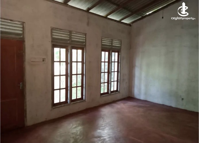 Land for Sale in Ragama - Land for sale in ragama - photo 2