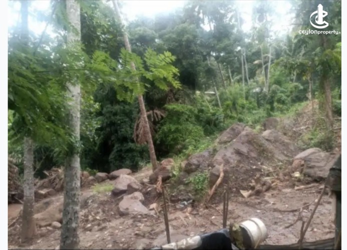 Land for Sale in Matale - Land for sale in matale - photo 1