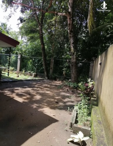 Land for Sale in Kurunegala - Land for sale in kurunagala - photo 5