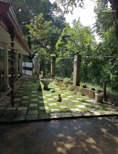 Land for Sale in Kurunegala - Land for sale in kurunagala - photo 6