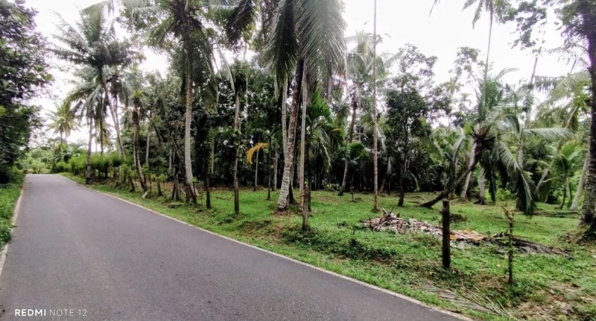 Land for Sale in Avissawella - Land for sale in awissawella - photo 3