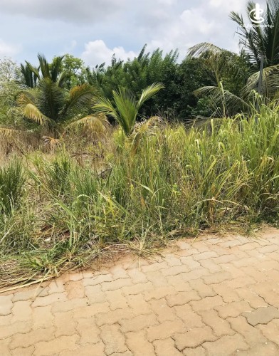 Land for Sale in Mihintale - Land for sale in Mihinthale - photo 2