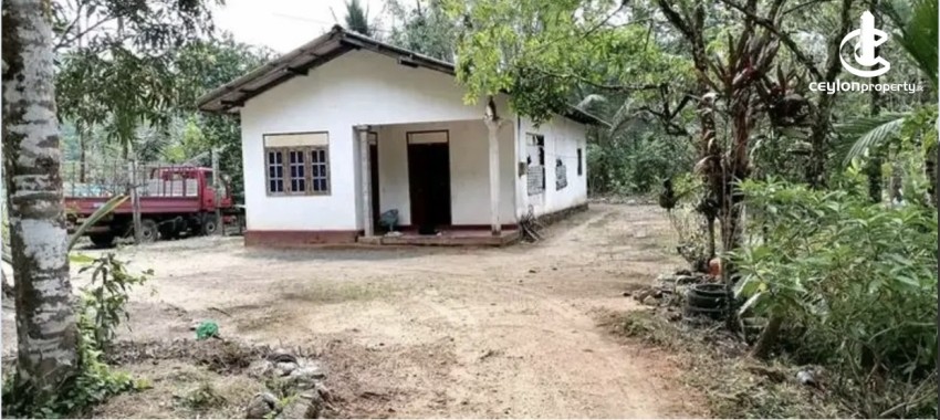 Land for Sale in Bulathsinhala - Land for sale in bulathsinhala - photo 1