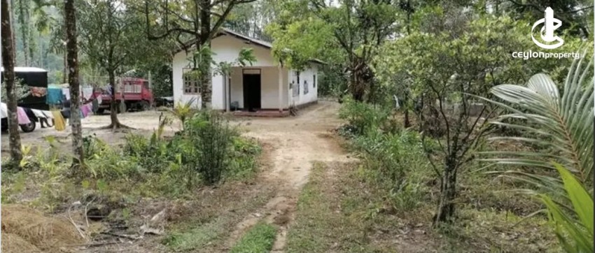 Land for Sale in Bulathsinhala - Land for sale in bulathsinhala - photo 2