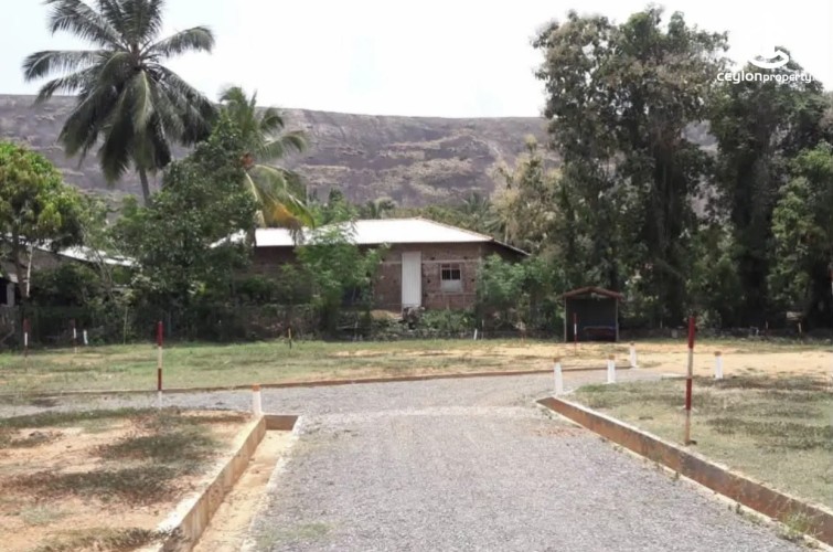 Land for Sale in Kurunegala - Land for sale in kurunagala - photo 1