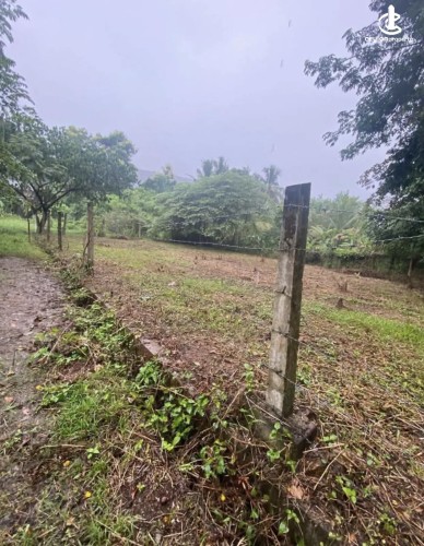 Land for Sale in Kurunegala - Land for sale in kurunagala - photo 4