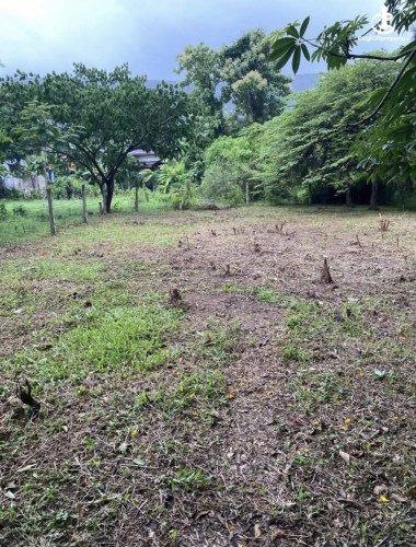 Land for Sale in Kurunegala - Land for sale in kurunagala - photo 5