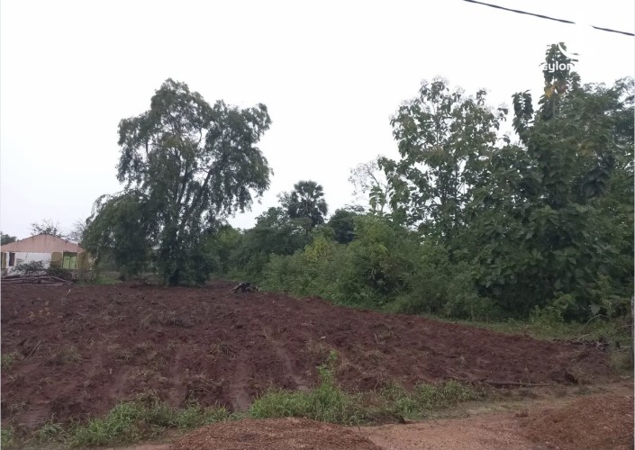 Land for Sale in Puttalam - Land for Sale in Puttalam - photo 1