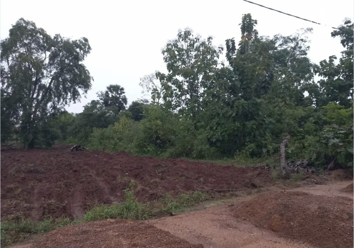 Land for Sale in Puttalam - Land for Sale in Puttalam - photo 3