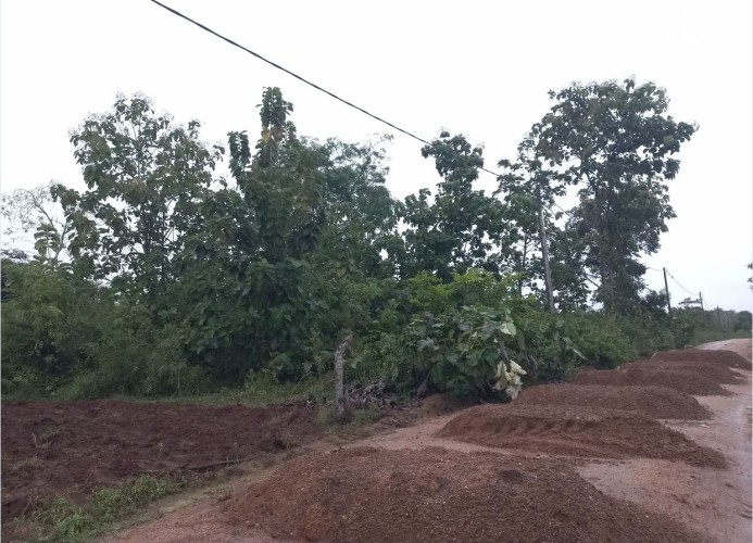 Land for Sale in Puttalam - Land for Sale in Puttalam - photo 4