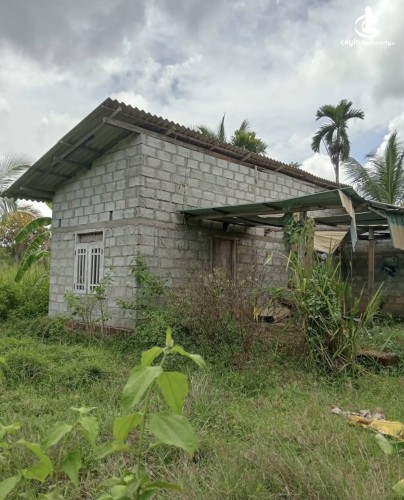 Land for Sale in Anuradhapura - Land for sale in Anuradhapura - photo 1