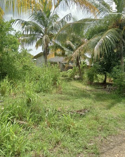 Land for Sale in Anuradhapura - Land for sale in Anuradhapura - photo 3