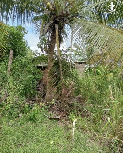 Land for Sale in Anuradhapura - Land for sale in Anuradhapura - photo 4