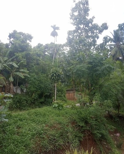 Land for Sale in Kurunegala - Land for sale in kurunagala - photo 2