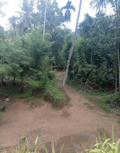 Land for Sale in Kurunegala - Land for sale in kurunagala - photo 3