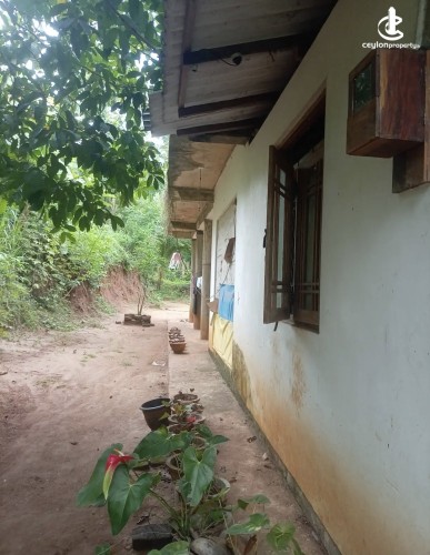 Land for Sale in Kurunegala - Land for sale in kurunagala - photo 9