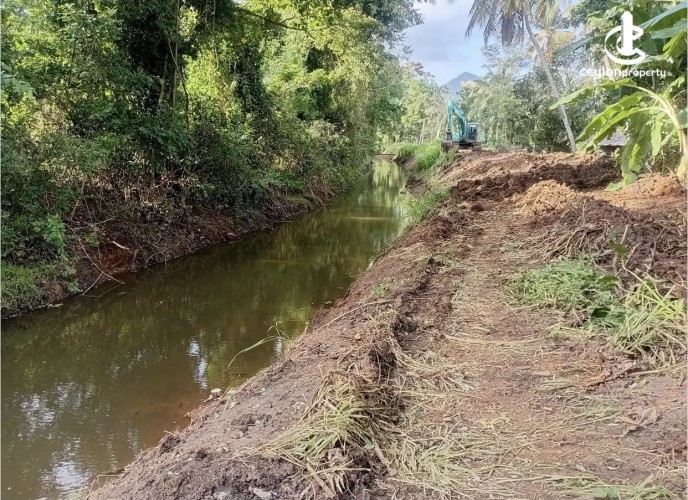 Land for Sale in Ibbagamuwa - Land for Sale in Ibbagamuwa - photo 8