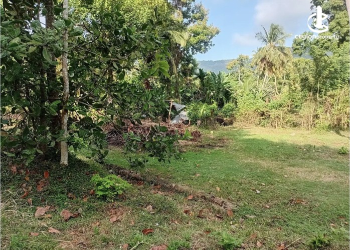 Land for Sale in Ibbagamuwa - Land for Sale in Ibbagamuwa - photo 9