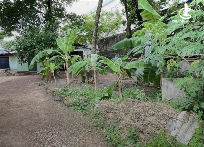 Land for Sale in Kiribathgoda - Land for sale in Kiribathgoda - photo 2