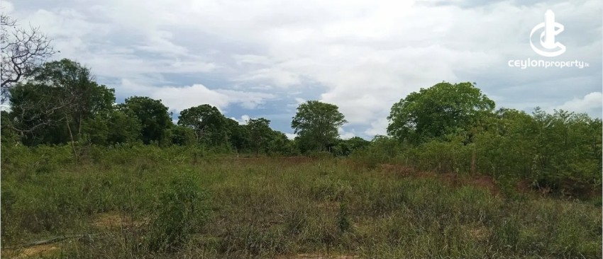 Land for Sale in Puttalam - Land for Sale in Puttalm - photo 3