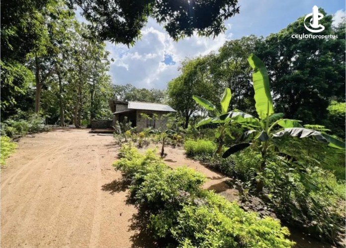 Land for Sale in Anuradhapura - Land for sale in Kekirawa - photo 1