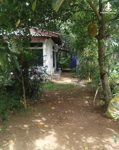 Land for Sale in Minuwangoda - Land for Sale in Minuwangoda - photo 3