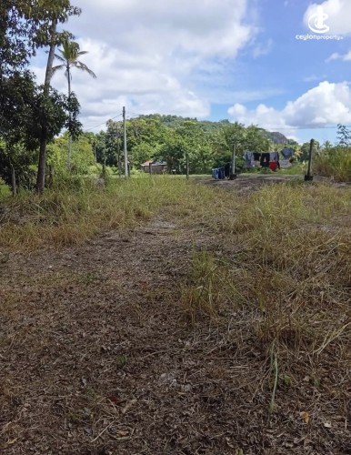 Land for Sale in Kurunegala - Land for sale in kurunagala - photo 2