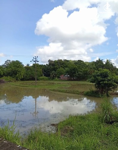 Land for Sale in Kurunegala - Land for sale in kurunagala - photo 4