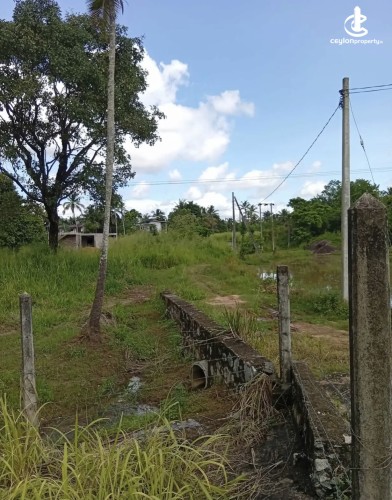 Land for Sale in Kurunegala - Land for sale in kurunagala - photo 5