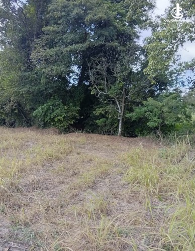 Land for Sale in Kurunegala - Land for sale in kurunagala - photo 6
