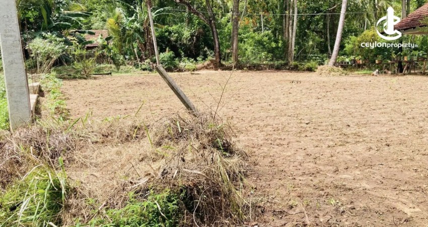 Land for Sale in Ibbagamuwa - Land for sale in Ibbagamuwa - photo 1