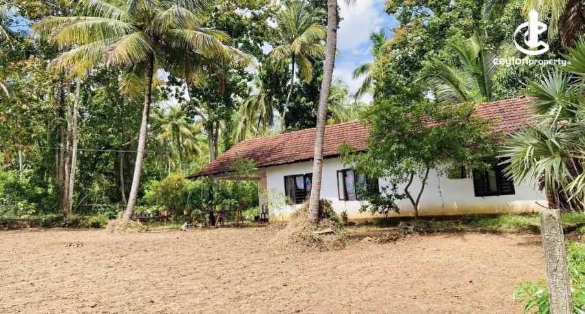 Land for Sale in Ibbagamuwa - Land for sale in Ibbagamuwa - photo 3