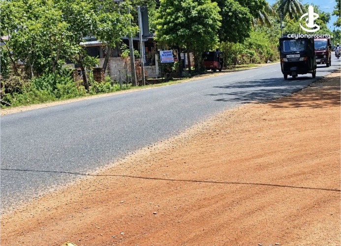 Land for Sale in Anuradhapura - Land for sale in Anuradapura - photo 3