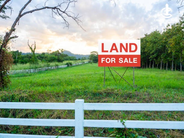 Land for Sale in Pannipitiya - Land for sale in pannipitiya - photo 1