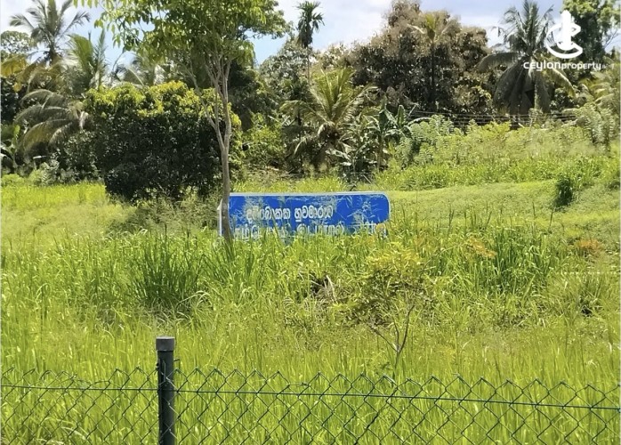 Land for Sale in Kurunegala - Land for sale in pothuhera - photo 1