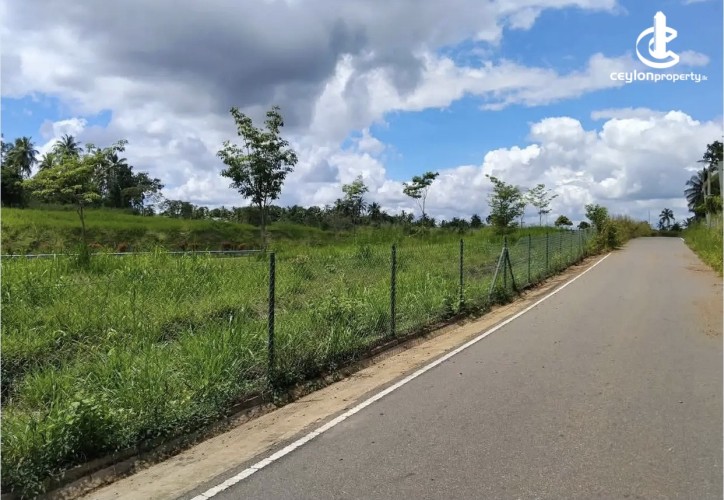 Land for Sale in Kurunegala - Land for sale in pothuhera - photo 2