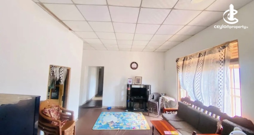 Land for Sale in Anuradhapura - Land for sale in Anuradapura - photo 3