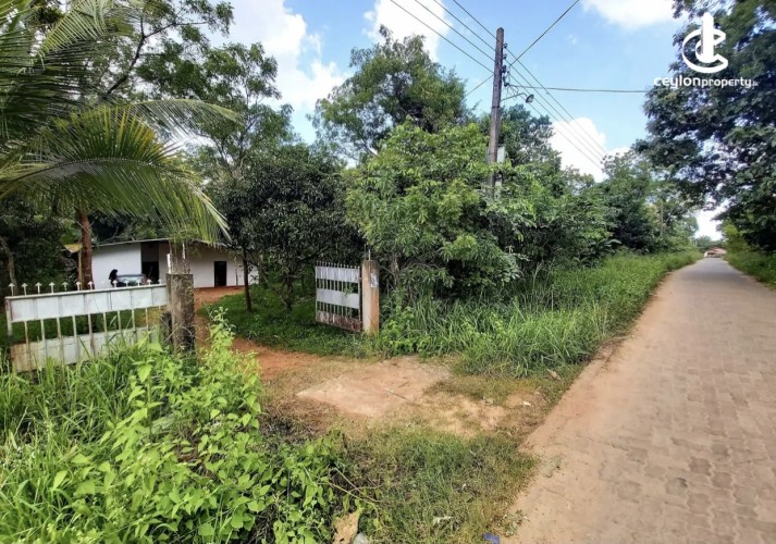Land for Sale in Mihintale - Land for sale in Mihinthale - photo 1