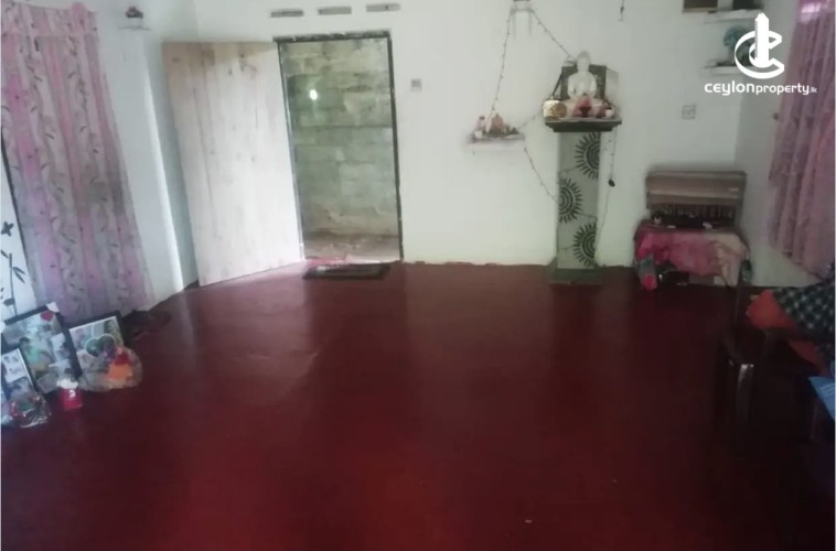 Land for Sale in Galle - Land for sale in galle - photo 3