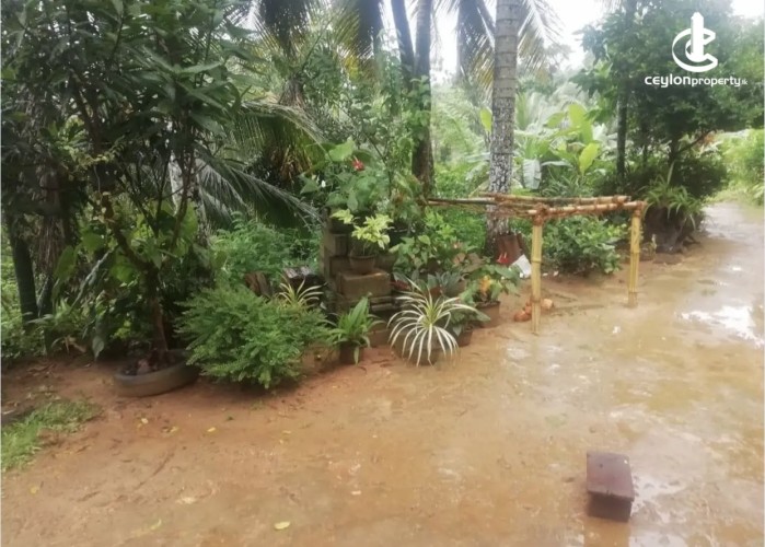 Land for Sale in Galle - Land for sale in galle - photo 4