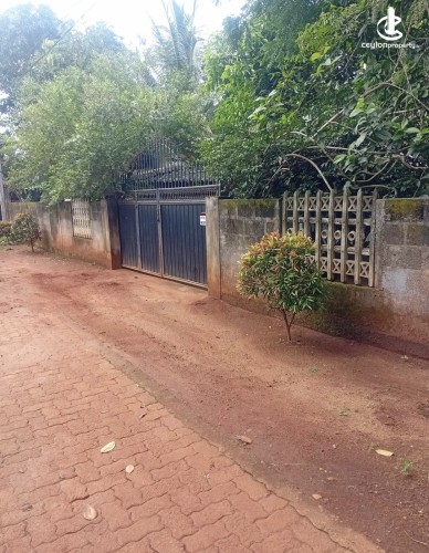 Land for Sale in Matale - Land for sale in matale - photo 1