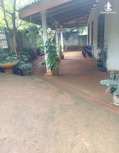 Land for Sale in Matale - Land for sale in matale - photo 2