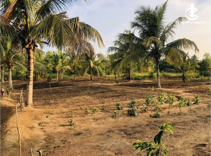 Land for Sale in Anamaduwa - Land for sale in Anamaduwa - photo 1