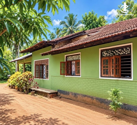 Land for Sale in Nikaweratiya - Land for sale in nikaweratiya - photo 2