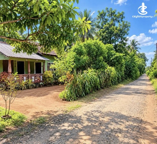 Land for Sale in Nikaweratiya - Land for sale in nikaweratiya - photo 3
