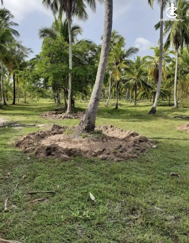 Land for Sale in Chilaw - Land for sale in chilaw - photo 4