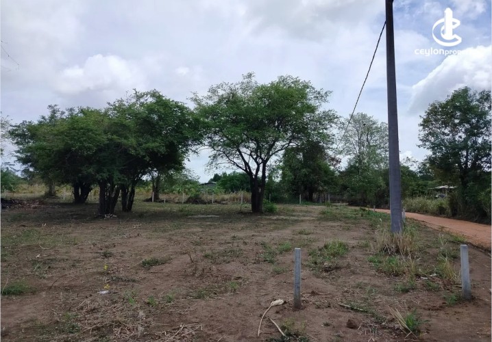 Land for Sale in Dambulla - Land for sale in Dambulla - photo 3
